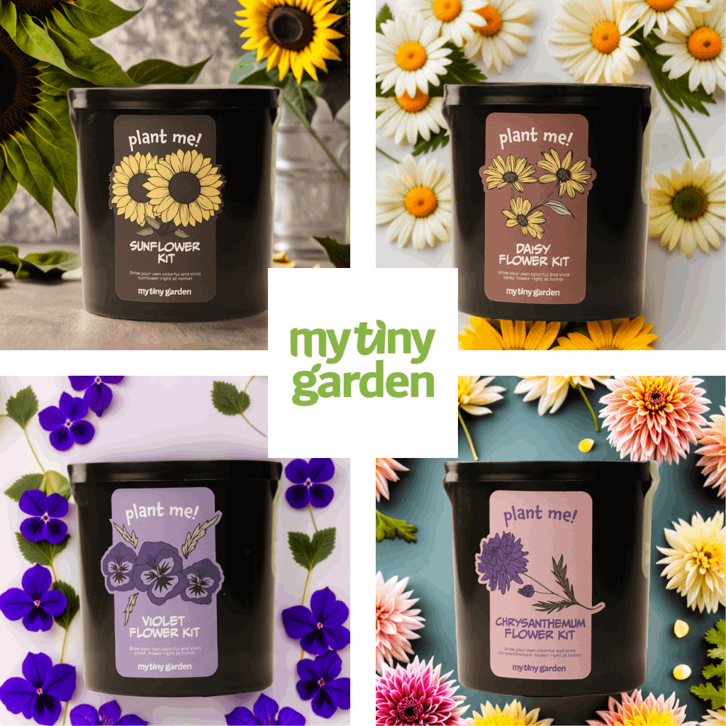 Gülümseyen Aşk Paketi