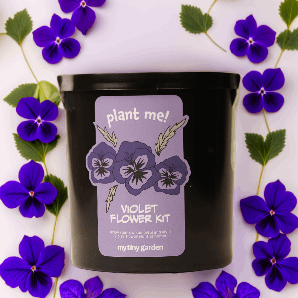 Gülümseyen Aşk Paketi görsel 4