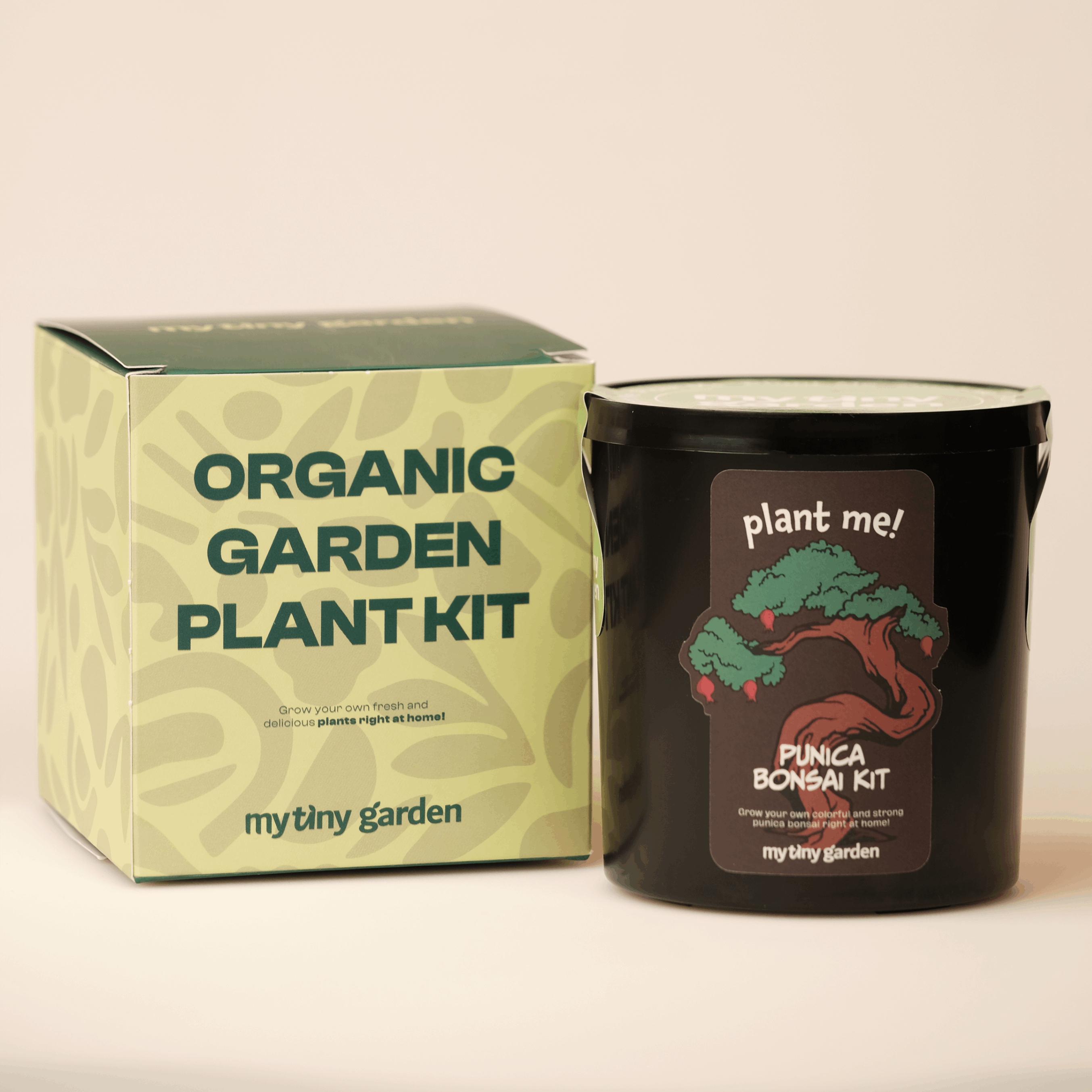 Süs Narı Bonsai Kiti görsel 2