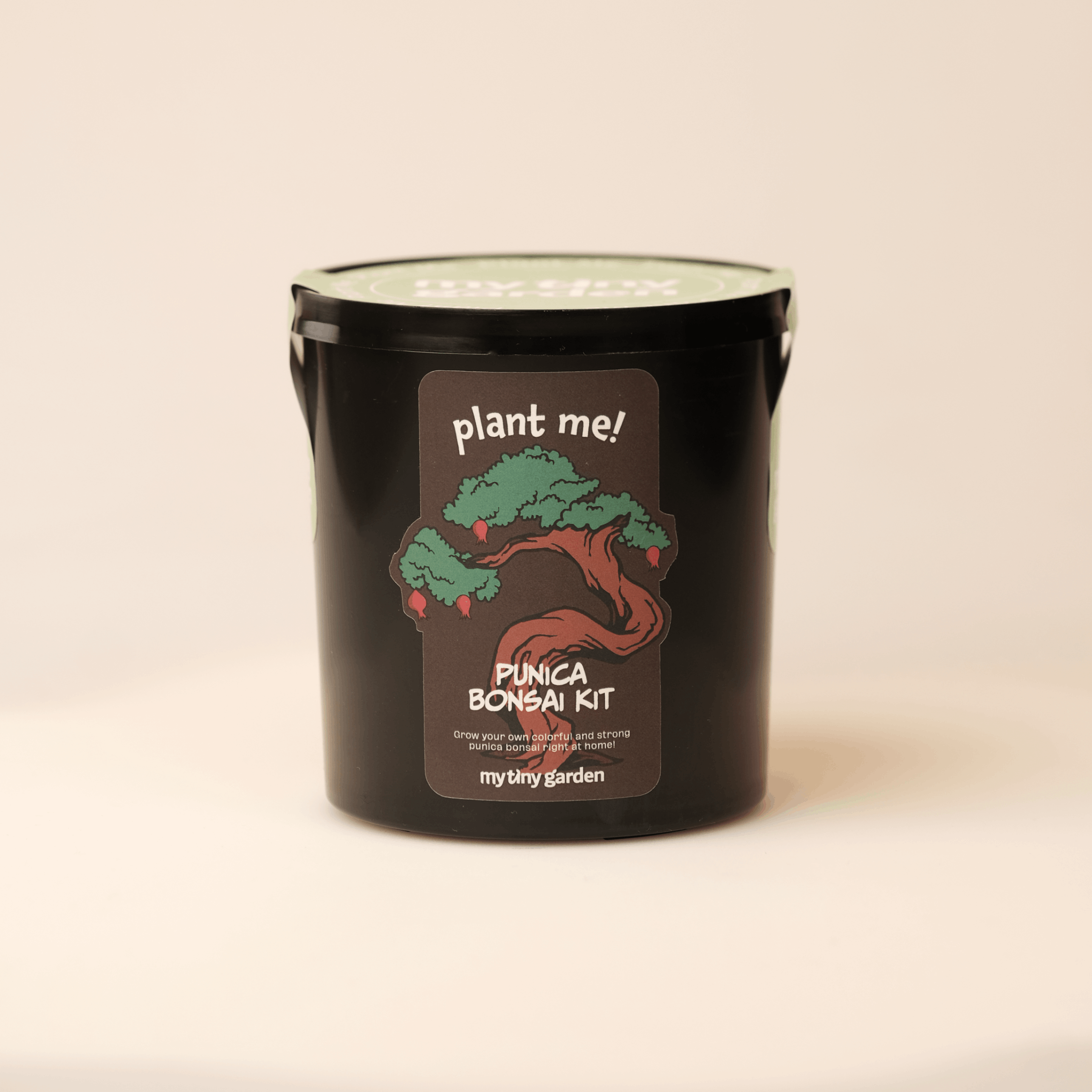 Süs Narı Bonsai Kiti görsel 3