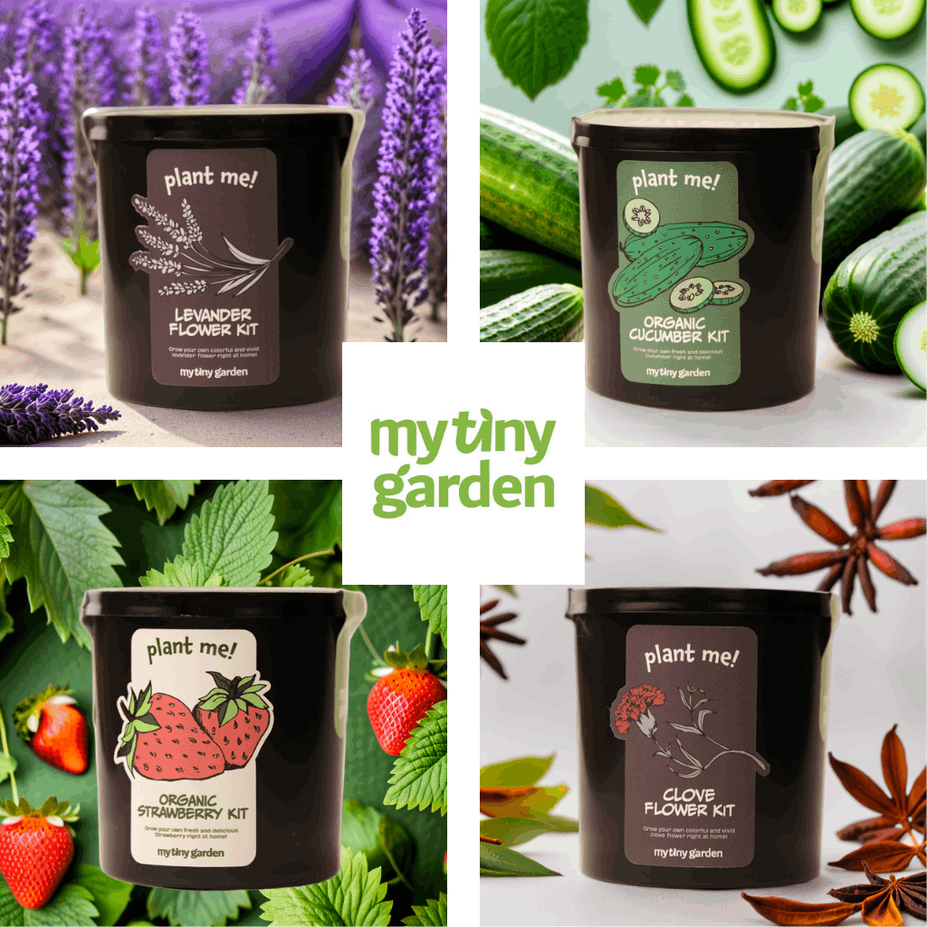 Doğa Dostum Bahçesi