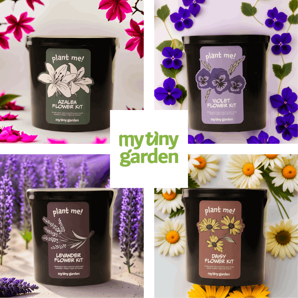 Romantik Bahar Paketi