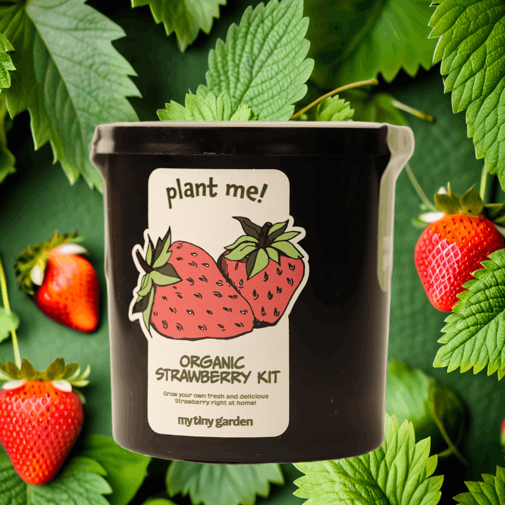 Tatlı Sürprizler görsel 4