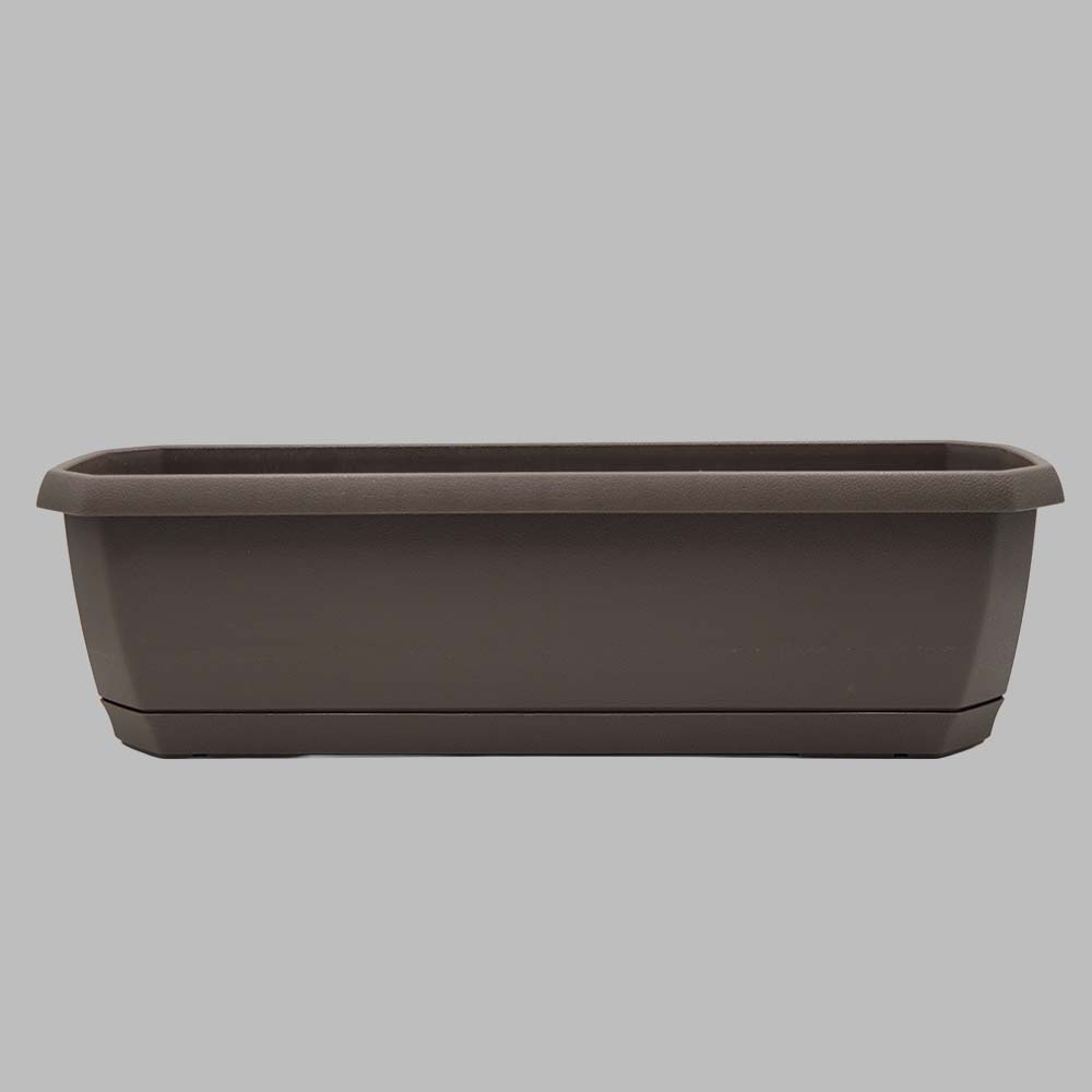 My Tiny Lane Saksı görsel 2