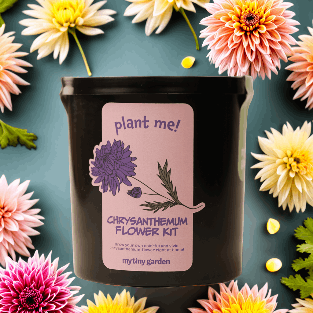 Güneş Gibi Annem görsel 5