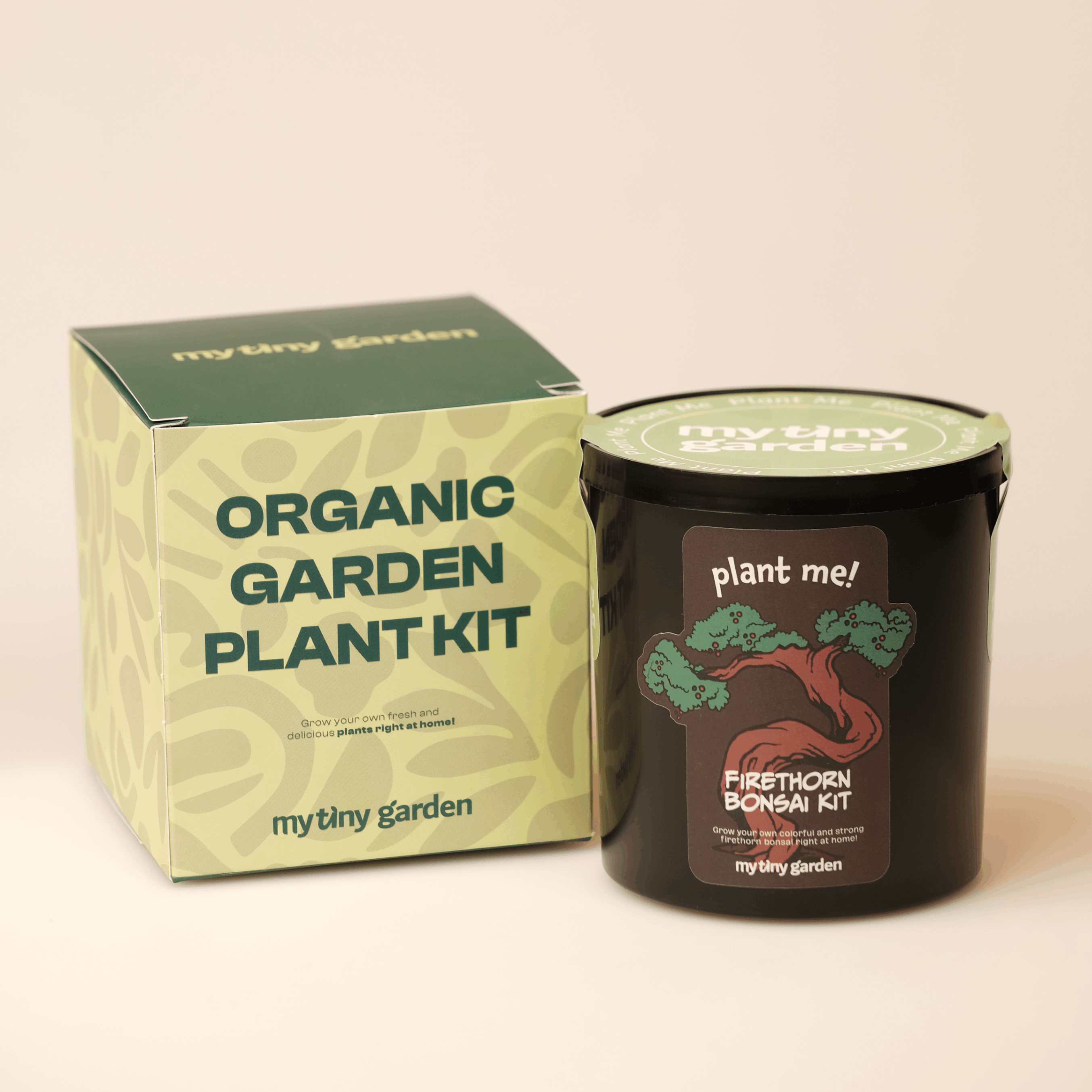 Ateş Dikeni Bonsai Kiti görsel 2