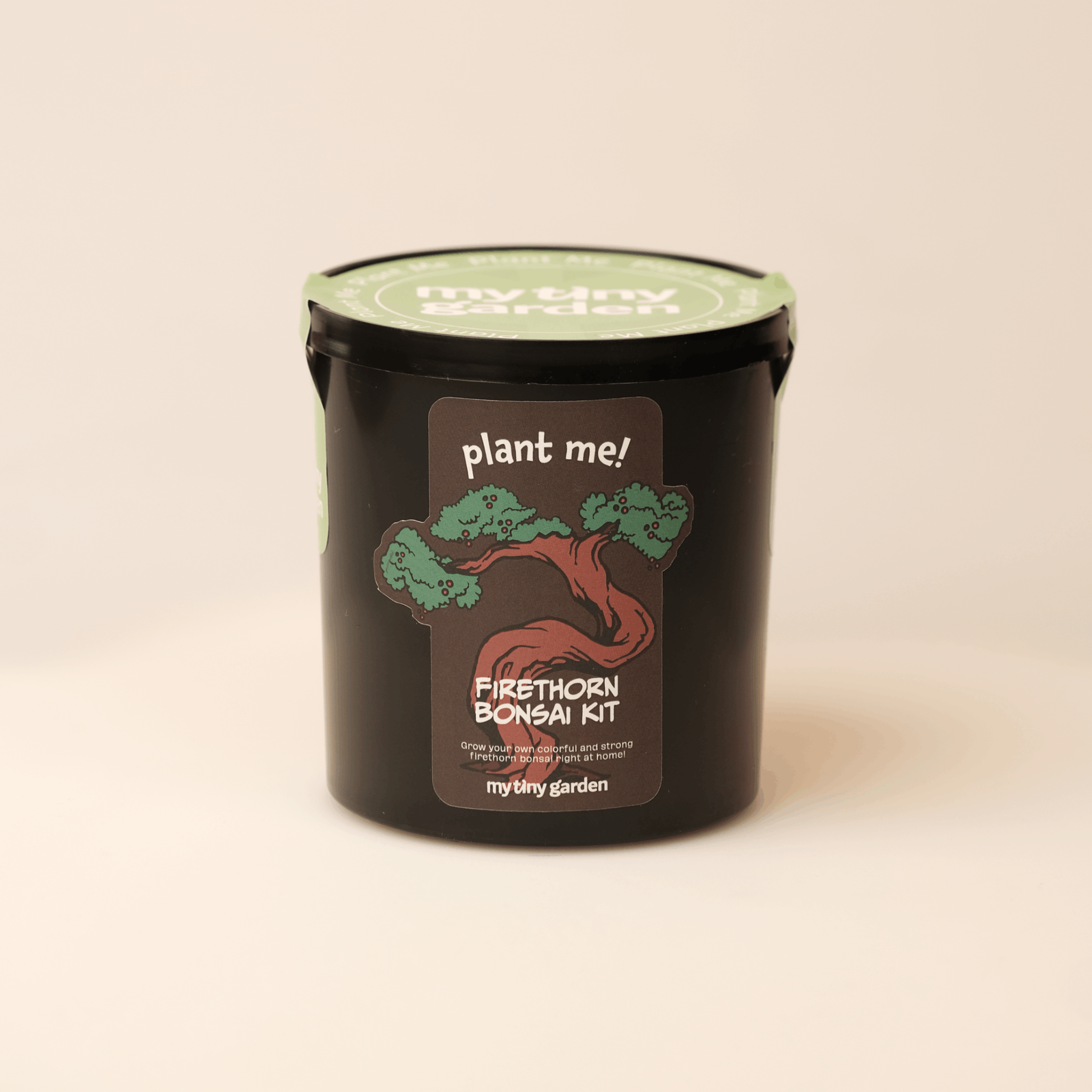 Ateş Dikeni Bonsai Kiti görsel 3