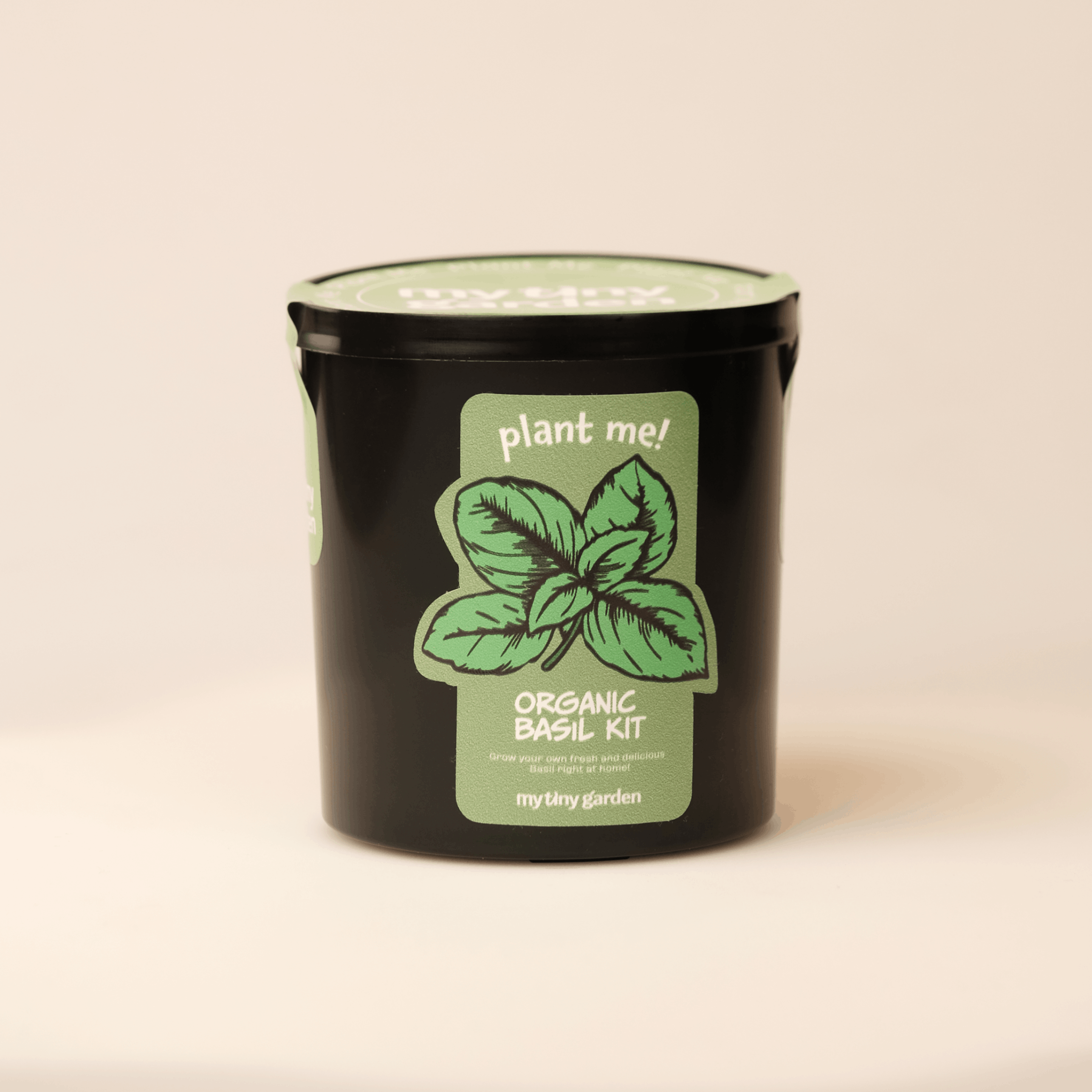 Reyhan Kiti görsel 3