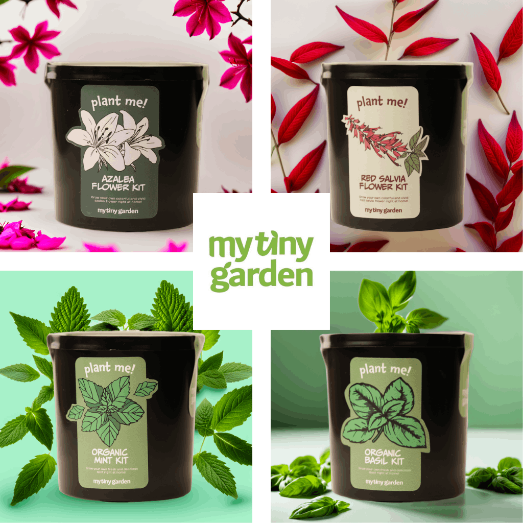 Doğanın Armağanı